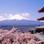 3月更新！日亚个护基础化妆等产品前十排名新鲜出炉！