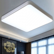 飞利浦（PHILIPS）  31201 品轩 LED吸顶灯 22W