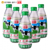 国农 麦胚芽味牛乳饮品240ml*12瓶*2份