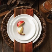 CORELLE 康宁 白色餐具20件套