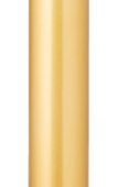 Beauty Stick 24K 黄金美容棒 MODEL FO-1