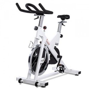SUNNY HEALTH&FITNESS SF-B1110 家用动感单车