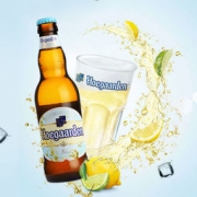 Hoegaarden 福佳 白啤酒 330ml*24瓶