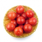 限上海 浙江 江苏：孙桥 番茄 西红柿 约1500g 自营蔬菜