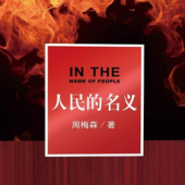 《人民的名义》kindle版