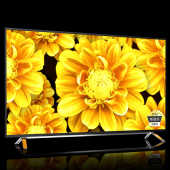 东芝（TOSHIBA） 55U66EBC 55寸 4K超清 液晶电视 火箭炮音响系统