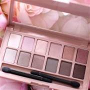 Maybelline美宝莲纽约 裸色风暴12色裸妆眼影盘 9.6g