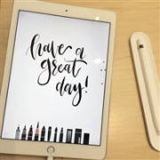 Apple 苹果 ipad pro 12.9寸 128G 平板电脑 官翻版 深空灰