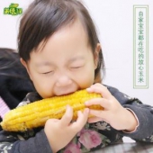 美佳绿 黄糯玉米 8根 真空包装