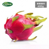 佳利麦 越南进口 红心火龙果 5斤 单果约400g
