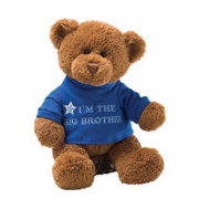 Gund 毛绒泰迪熊 30cm 套在T恤里的泰迪熊