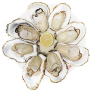 威海乳山生蚝（牡蛎） 10斤装 中号 约4-5只/斤