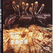 《生命之灵:国际野生生物摄影年赛50年精选》