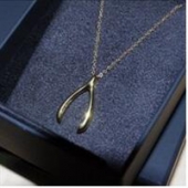 亚马逊最畅销产品！Amazon Collection Wishbone 许愿锁骨项链 银色