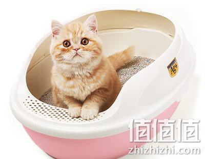 如何选购猫砂_选购猫砂的注意事项，哪个牌子的猫砂性价比最高？猫砂怎么选购？