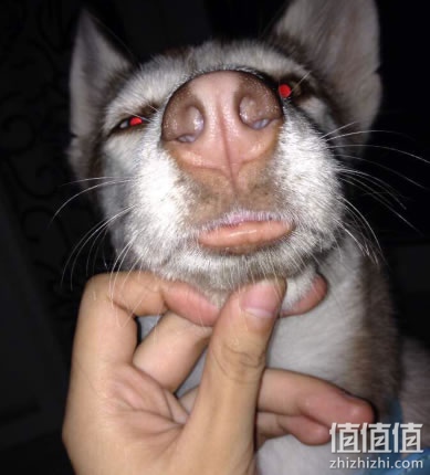 妙巴黎唇彩晒单及评测