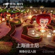 上海迪士尼乐园 成人门票
