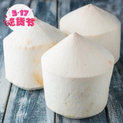 泰国椰青 9个约700g/个+ 海南小台农芒果1kg