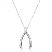 Amazon Collection Wishbone 许愿骨项链 优雅百搭