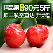 春漾 精品先锋 5斤 果径20-24mm 另附品种科普