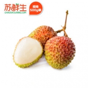 苏鲜生 海南妃子笑荔枝 500g 折9.9元（19.8元，2件5折）