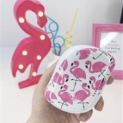 补货！TANGLE TEEZER skinny dip合作款火烈鸟便携款美发梳