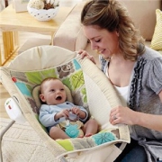 Fisher-Price 费雪 Newborn Rock ‘N Play 儿童摇椅