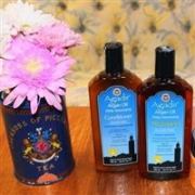 Agadir 纯天然阿甘油丰盈洗发水 355ml