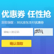 优惠券：京东金融 1000-30支付券