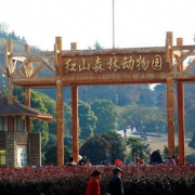 门票特惠：南京红山森林动物园