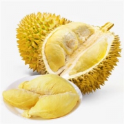 泰国金枕头榴莲 1个 约4-5kg