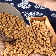 亲情沂蒙人 有机黄豆2000g*4件