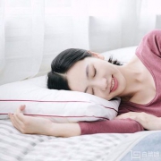 网易严选 可水洗抗菌防螨丝羽绒枕