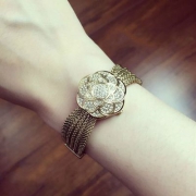 安妮 克莱恩（ANNE KLEIN）  AK/1046CHCV Swarovski 水晶女士腕表
