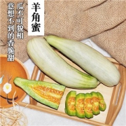 丰闰 潍坊羊角蜜 甜瓜 4斤