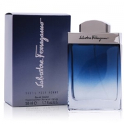 Salvatore Ferragamo Subtil Pour Homme 蓝色经典 男士淡香水