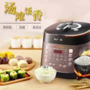 SUPOR 苏泊尔 CYSB50FCW20QT-100 双胆电压力锅 5L