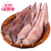 獐子岛 冷冻鱿鱼 500g 4-5条 袋装 海鲜水产*4件