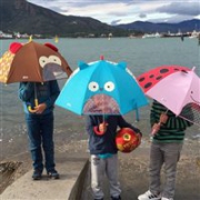 Skip Hop 动物园系列 儿童卡通雨伞 两款可选