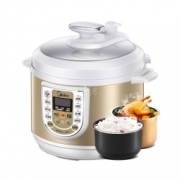 Midea美的 W13PCS503E 5L 电压力锅