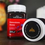 新西兰Netpharmacy精选：GRANS REMEDY 除脚臭鞋臭粉，STREAMLAND 蜂蜜，BONJELA 口腔溃疡凝胶