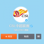 京东PLUS：2017赛季 中超联赛第十四轮 门票