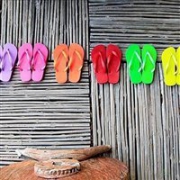 男女都可穿：Havaianas哈瓦那人字拖 多色可选