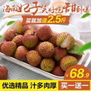 【买遍618】春播 精选安心  直采海南妃子笑荔枝 2.5斤装