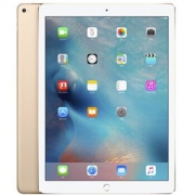 Apple 苹果 iPad Pro WLAN 平板电脑 12.9英寸 128G