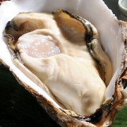 鲜动生活 冷冻半壳生蚝 6粒原汁 460g*5件 口径10-13cm 补肾壮阳 营养丰富