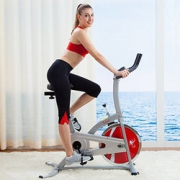 新低价！SUNNY HEALTH &FITNESS P8100 炫彩版动感单车 599元（699-100）