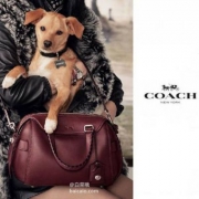 COACH 蔻驰 Ace女士手提斜挎包 2色 新低$229.99
