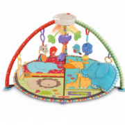 限地区： Fisher-Price 费雪 T6339 爱心动物声光健身器 +凑单品    170元包邮（288，双重优惠）