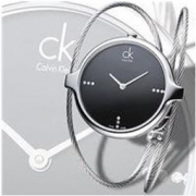 Calvin Klein K2Z2M11S 石英手镯型女表